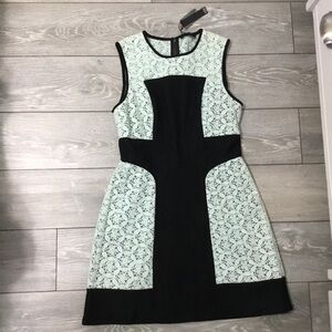 NWT TIBI Mint Green Unconventional Lace Black Wool Midi Dress 10